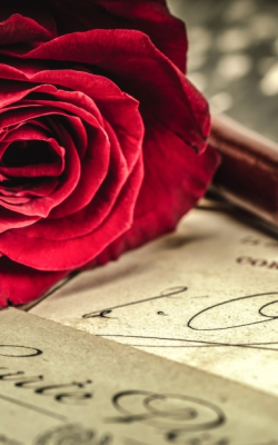 Veranstaltungen & Events